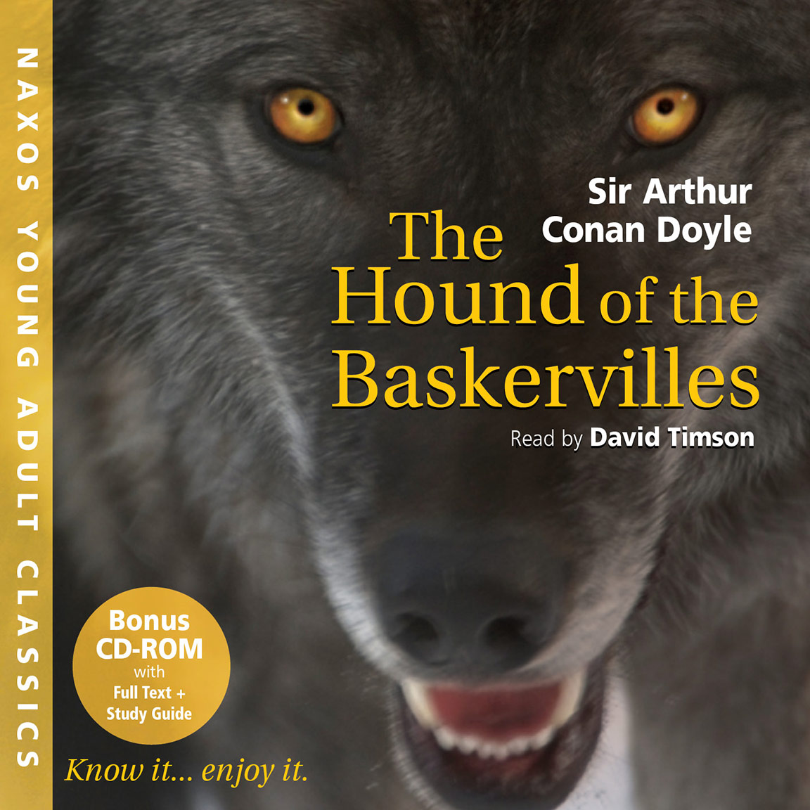 Arthur Conan Doyle the Hound of the Baskervilles