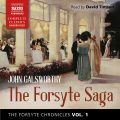 The Forsyte Chronicles, Vol. 1: The Forsyte Saga (unabridged)
