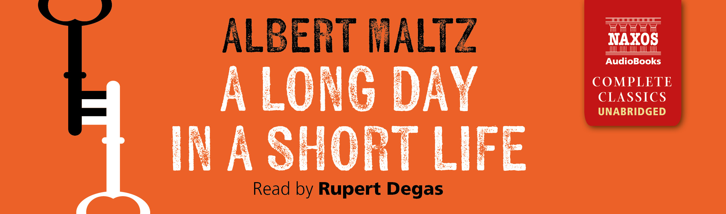A Long Day in a Short Life (unabridged)